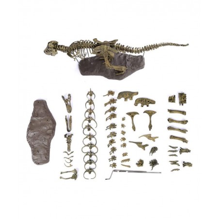 3D T-Rex Dinosaur Skeleton Model Puzzles Simulation Educational Toy Pre-School Teaching Soft Non-Toxic PVC Material Gifts $50...