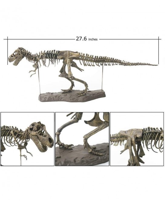 3D T-Rex Dinosaur Skeleton Model Puzzles Simulation Educational Toy Pre-School Teaching Soft Non-Toxic PVC Material Gifts $50...