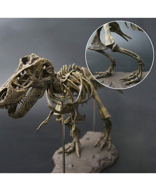 3D T-Rex Dinosaur Skeleton Model Puzzles Simulation Educational Toy Pre-School Teaching Soft Non-Toxic PVC Material Gifts $50...
