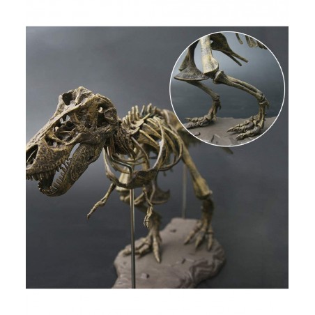 3D T-Rex Dinosaur Skeleton Model Puzzles Simulation Educational Toy Pre-School Teaching Soft Non-Toxic PVC Material Gifts $50...