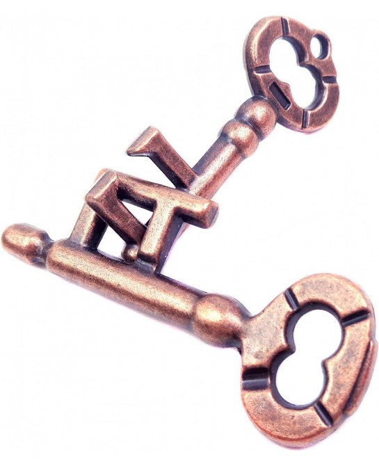 Traditional Brain Teaser Classical Puzzle Magic Toy (Keys) $15.66 Brain Teaser Puzzles