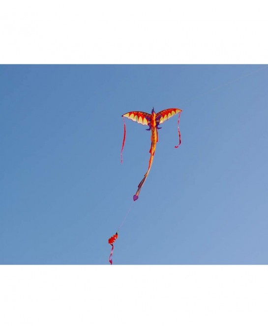 Dragon Kite for Kids 40x75 Inch Easy to Fly Kite Single Line Kites with Long Tail and Kite String $32.12 Kites & Wind Spinners