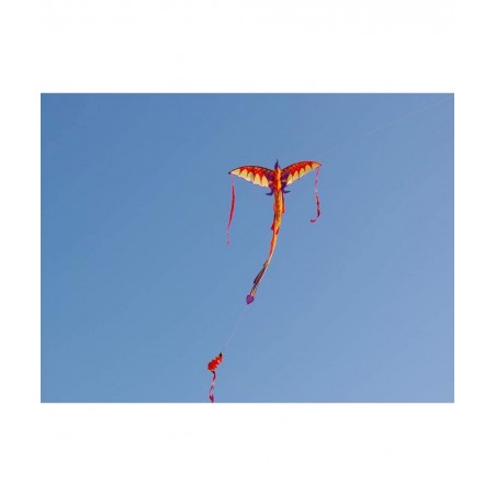 Dragon Kite for Kids 40x75 Inch Easy to Fly Kite Single Line Kites with Long Tail and Kite String $32.12 Kites & Wind Spinners