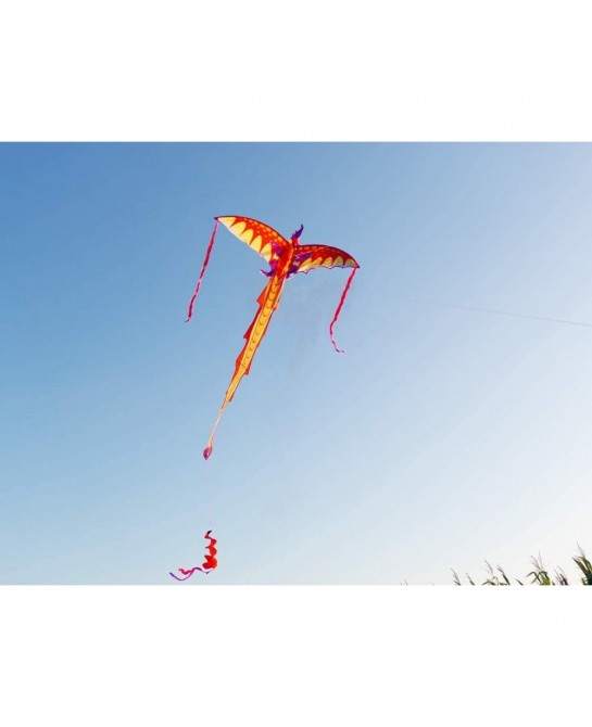 Dragon Kite for Kids 40x75 Inch Easy to Fly Kite Single Line Kites with Long Tail and Kite String $32.12 Kites & Wind Spinners