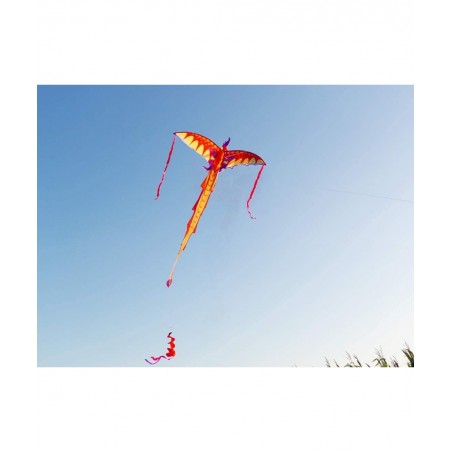 Dragon Kite for Kids 40x75 Inch Easy to Fly Kite Single Line Kites with Long Tail and Kite String $32.12 Kites & Wind Spinners