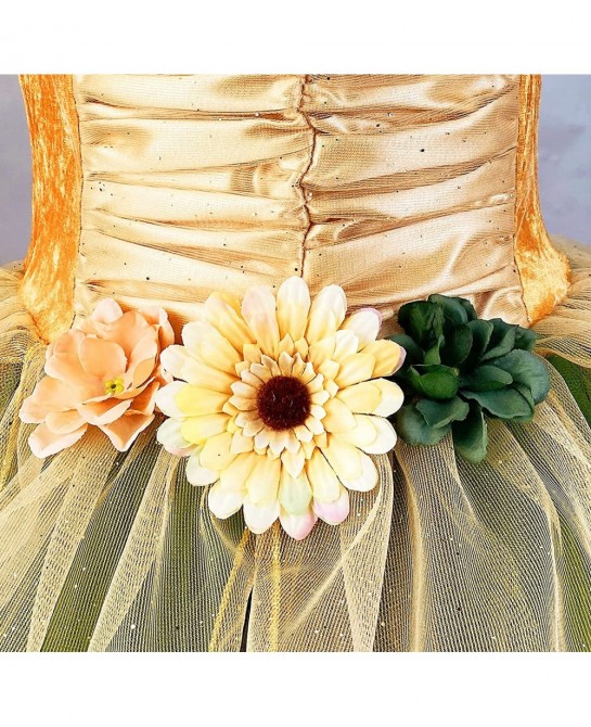 Fairy Costume Dress for Girls Green Princess Flower Girl Dress Tutu Dress with Headband and Wings $47.96 Kids' Costumes
