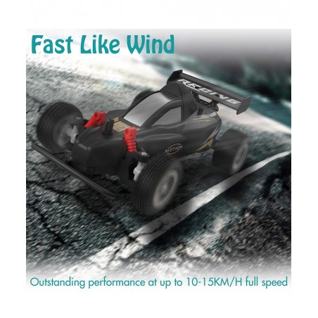 RC Racing Car 4WD 2.4Ghz Remote Control Car 10-15KM/H High Speed Drift RC Car 1:20 Scale Variable Speed and 4 Batteries Toys ...