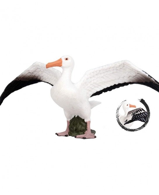 Albatross Figure Realistic Animal Figurines Early Educational Bird Toy Science Project Christmas Birthday Cake Topper for Kid...