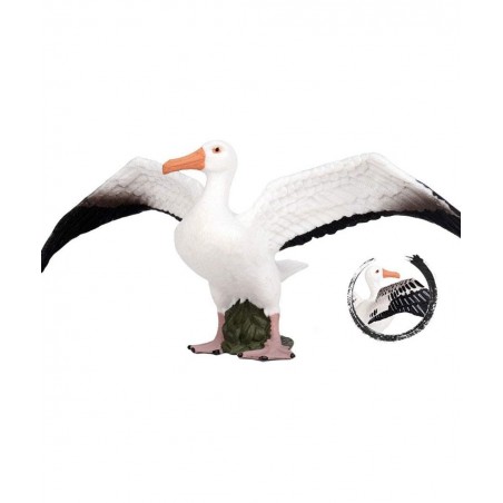 Albatross Figure Realistic Animal Figurines Early Educational Bird Toy Science Project Christmas Birthday Cake Topper for Kid...