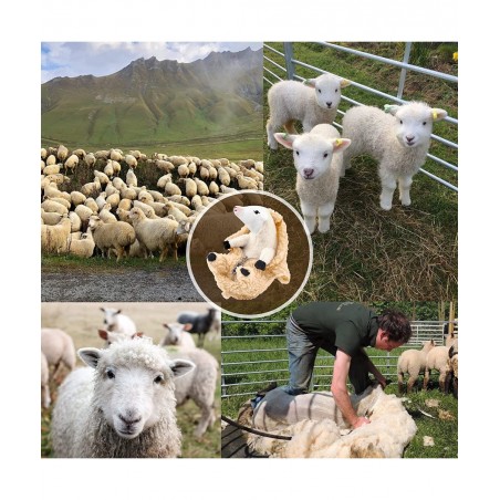 Cute Shaved Sheep Stuffed Animals Kawaii Lamb Plush Toys Birthday Funny Gifts for Women Girls Boys Kids Teens Small Plushies ...