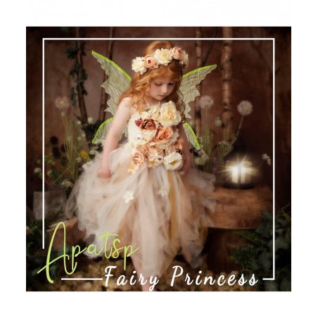 Cute Sparkly Fairy Wings for Girls Sheer Angel Wings for Kids Halloween Costume Fair Theme Party $24.04 Kids' Costumes