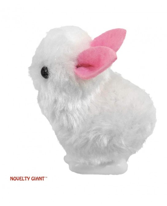 Wind Up Jumping White Bunny & Yellow Baby Chick Chicken Easter Egg 2 Pk $16.47 Spring & Wind-Up Toys