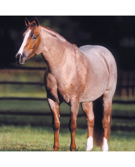 Horses Traditional Series Peptoboonsmal | Champion Cutting Horse | Horse Toy Model | 14" x 8" | 1:9 Scale Horse Figurine | Mo...