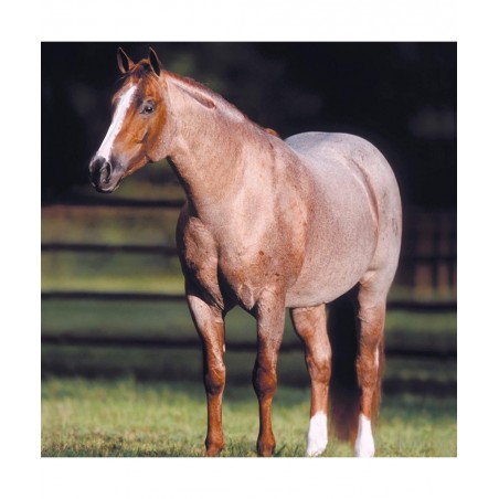 Horses Traditional Series Peptoboonsmal | Champion Cutting Horse | Horse Toy Model | 14" x 8" | 1:9 Scale Horse Figurine | Mo...