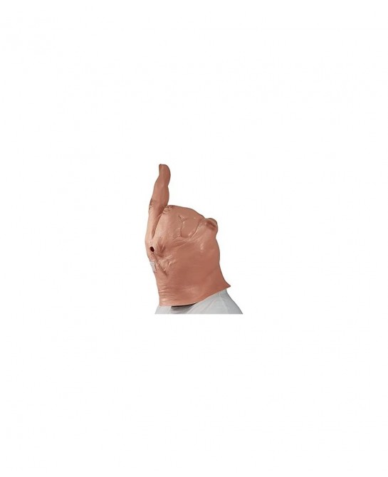 Fun Halloween mask latex Spoof middle finger mask full head creepy Halloween Party mask Beige 48x26x20cm $41.90 Kids' Dress-U...