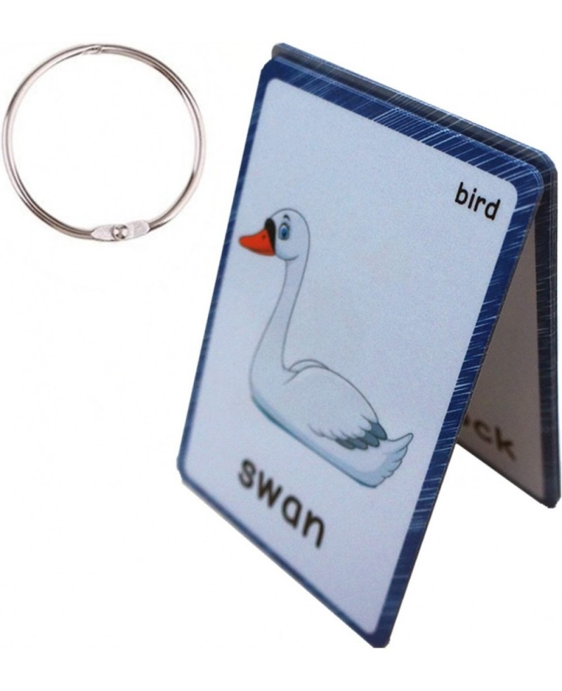 13 Bird Animals Laminated Flash Cards English Flash Cards Educational Learning Picture & Word Card Flashcards Young Children ...