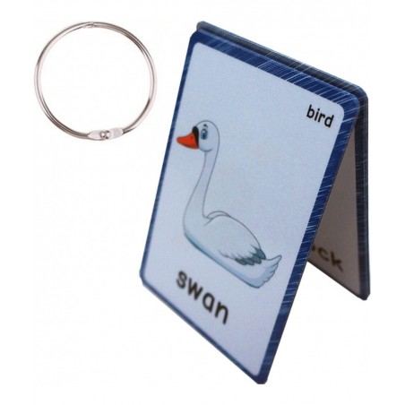 13 Bird Animals Laminated Flash Cards English Flash Cards Educational Learning Picture & Word Card Flashcards Young Children ...