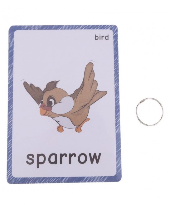 13 Bird Animals Laminated Flash Cards English Flash Cards Educational Learning Picture & Word Card Flashcards Young Children ...