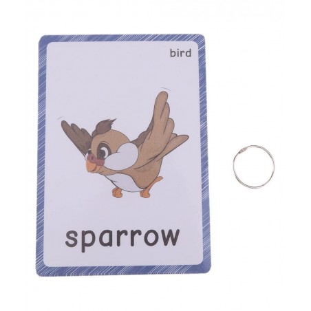 13 Bird Animals Laminated Flash Cards English Flash Cards Educational Learning Picture & Word Card Flashcards Young Children ...