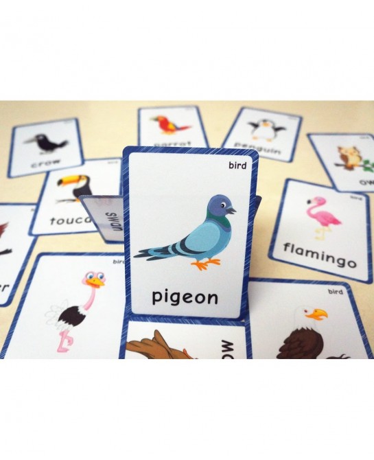 13 Bird Animals Laminated Flash Cards English Flash Cards Educational Learning Picture & Word Card Flashcards Young Children ...