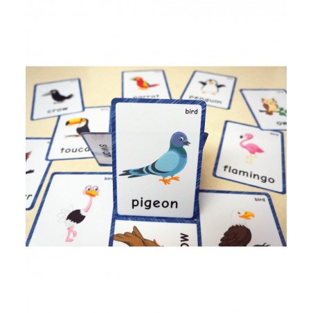 13 Bird Animals Laminated Flash Cards English Flash Cards Educational Learning Picture & Word Card Flashcards Young Children ...
