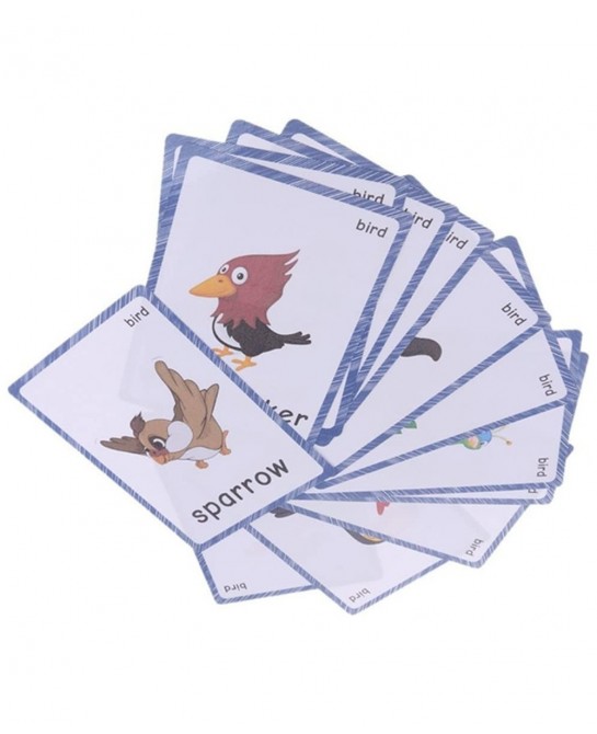 13 Bird Animals Laminated Flash Cards English Flash Cards Educational Learning Picture & Word Card Flashcards Young Children ...