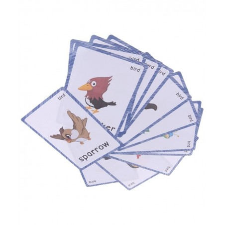 13 Bird Animals Laminated Flash Cards English Flash Cards Educational Learning Picture & Word Card Flashcards Young Children ...