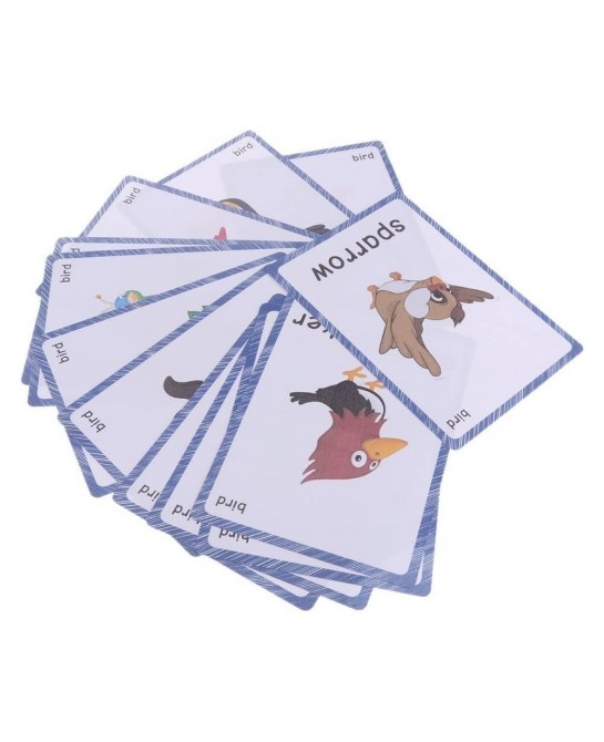 13 Bird Animals Laminated Flash Cards English Flash Cards Educational Learning Picture & Word Card Flashcards Young Children ...