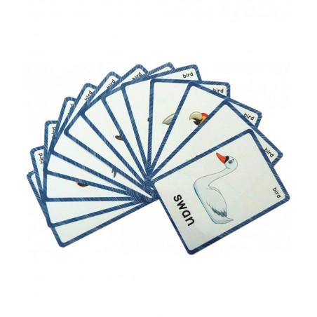 13 Bird Animals Laminated Flash Cards English Flash Cards Educational Learning Picture & Word Card Flashcards Young Children ...