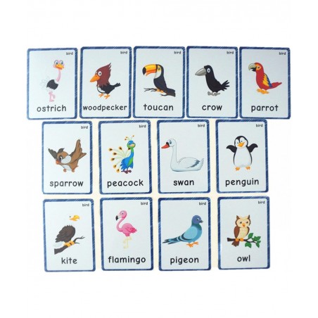 13 Bird Animals Laminated Flash Cards English Flash Cards Educational Learning Picture & Word Card Flashcards Young Children ...