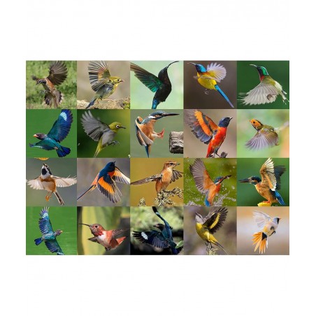 Jigsaw Puzzles 500 Piece Various Birds Jigsaw Puzzles (500 Piece Bird Puzzles) $16.27 Jigsaw Puzzles