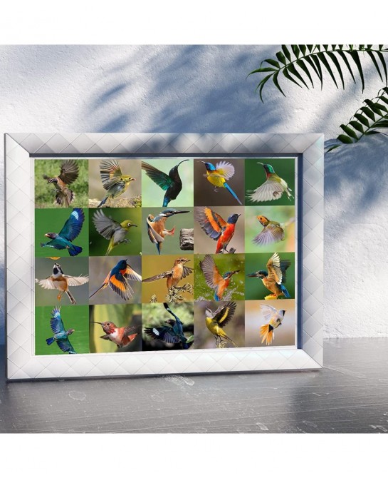Jigsaw Puzzles 500 Piece Various Birds Jigsaw Puzzles (500 Piece Bird Puzzles) $16.27 Jigsaw Puzzles
