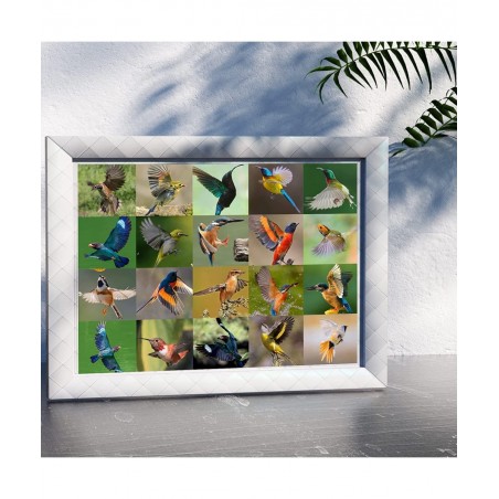 Jigsaw Puzzles 500 Piece Various Birds Jigsaw Puzzles (500 Piece Bird Puzzles) $16.27 Jigsaw Puzzles
