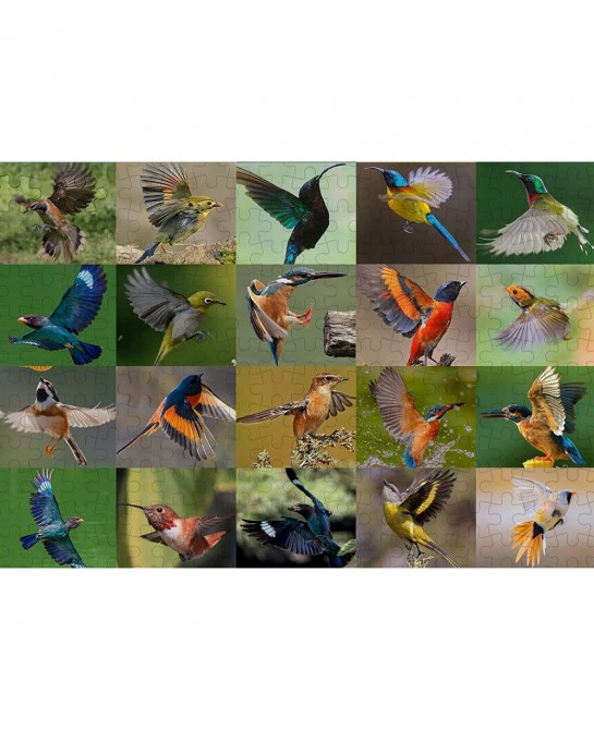 Jigsaw Puzzles 500 Piece Various Birds Jigsaw Puzzles (500 Piece Bird Puzzles) $16.27 Jigsaw Puzzles