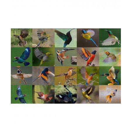 Jigsaw Puzzles 500 Piece Various Birds Jigsaw Puzzles (500 Piece Bird Puzzles) $16.27 Jigsaw Puzzles