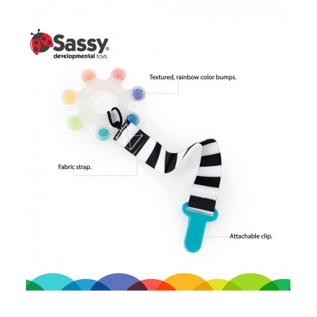 Rainbow Star Teether with Keeper | Textured Silicone Teether for Teething | Ages 3+ Months and Up $17.16 Baby Teether Toys