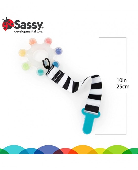 Rainbow Star Teether with Keeper | Textured Silicone Teether for Teething | Ages 3+ Months and Up $17.16 Baby Teether Toys