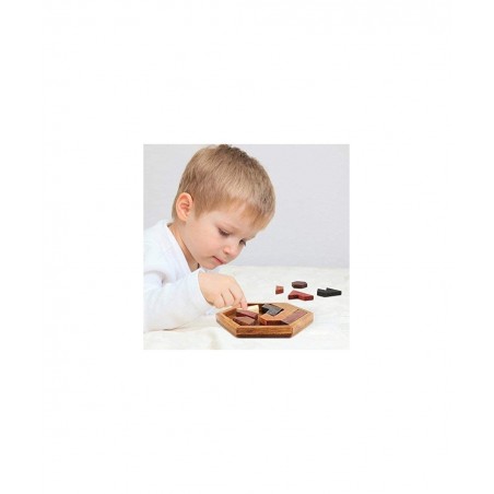 Hexagon Tangram Puzzle Wooden Puzzle for Children and Adults Challenging Puzzles Wooden Brain Teasers Puzzle for Adults Puzzl...