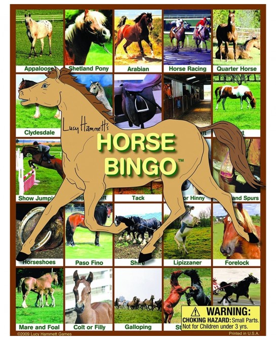 Horse Bingo Board Game $32.79 Board Games