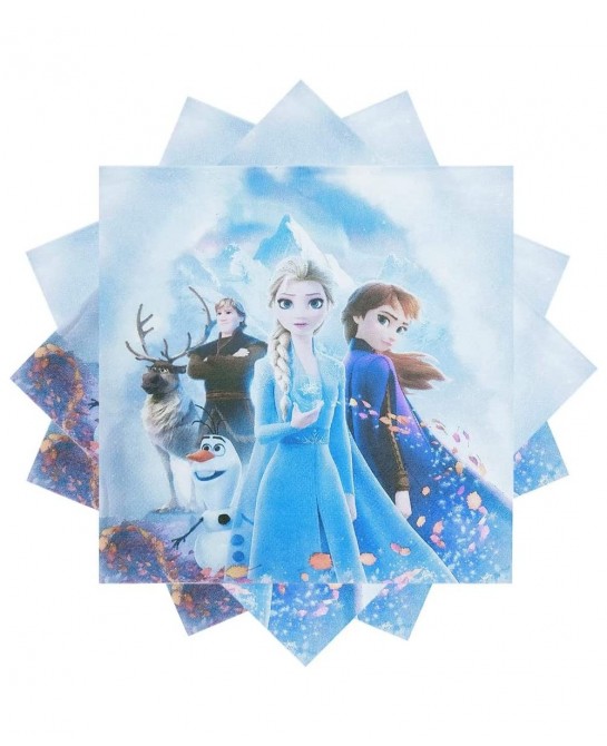 Frozen Birthday Set 20pcs Plates 20 Napkins 1 Tablecloths Frozen Themed Party Supplies $19.97 Kids' Party Tableware
