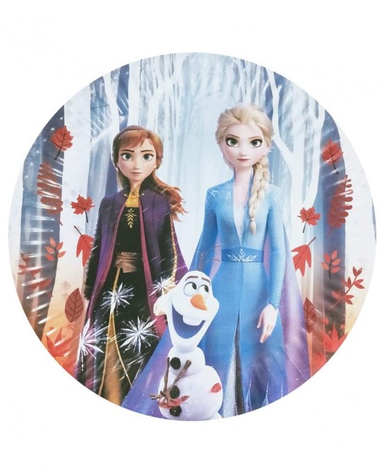 Frozen Birthday Set 20pcs Plates 20 Napkins 1 Tablecloths Frozen Themed Party Supplies $19.97 Kids' Party Tableware
