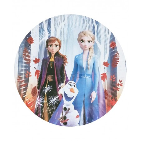 Frozen Birthday Set 20pcs Plates 20 Napkins 1 Tablecloths Frozen Themed Party Supplies $19.97 Kids' Party Tableware