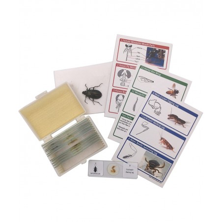 12 Prepared Insect Bug Parts Microscope Slides Set Real Beetle Specimen Postcards STEM Science Kit $37.91 Educational Science...