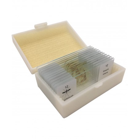 12 Prepared Insect Bug Parts Microscope Slides Set Real Beetle Specimen Postcards STEM Science Kit $37.91 Educational Science...