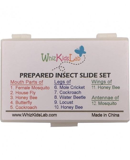 12 Prepared Insect Bug Parts Microscope Slides Set Real Beetle Specimen Postcards STEM Science Kit $37.91 Educational Science...