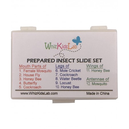 12 Prepared Insect Bug Parts Microscope Slides Set Real Beetle Specimen Postcards STEM Science Kit $37.91 Educational Science...