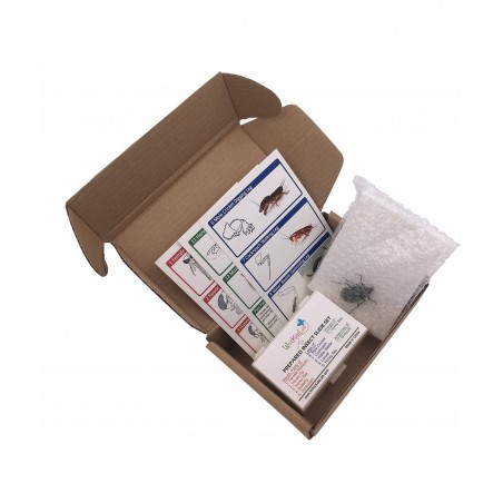 12 Prepared Insect Bug Parts Microscope Slides Set Real Beetle Specimen Postcards STEM Science Kit $37.91 Educational Science...