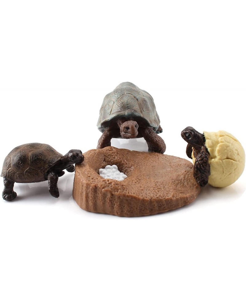 4 PCS Tortoise Wild Animal Model Figures Tortoise Life Cycle Figurines Party Favors Supplies Cake Toppers Decoration Collecti...