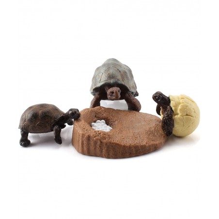 4 PCS Tortoise Wild Animal Model Figures Tortoise Life Cycle Figurines Party Favors Supplies Cake Toppers Decoration Collecti...