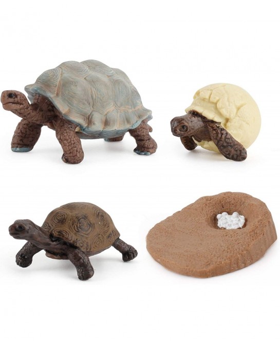 4 PCS Tortoise Wild Animal Model Figures Tortoise Life Cycle Figurines Party Favors Supplies Cake Toppers Decoration Collecti...